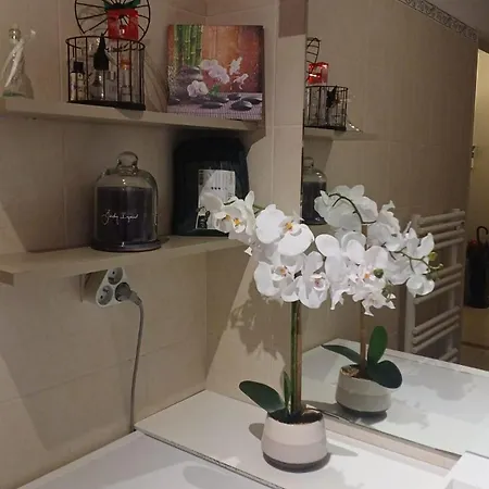 Apartment Beau Avec Garage Ferme Beausoleil